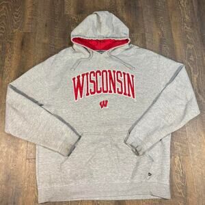 Vintage 2000s UW-Madison Badgers Heavyweight Hoodie